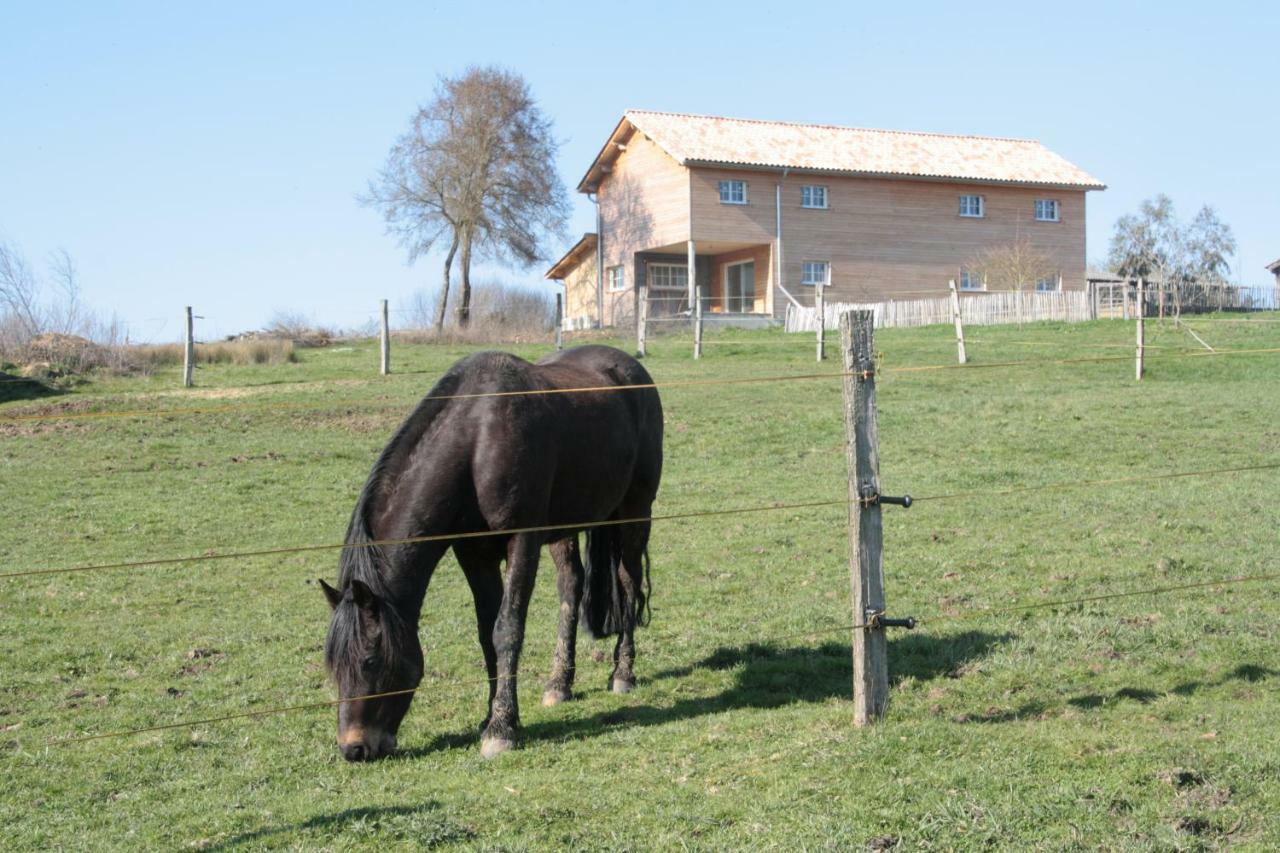 Le Petit Durbec Villa La Force  Eksteriør bilde